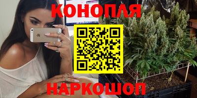 эйфоретик Красноармейск