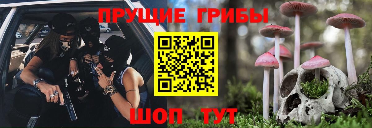 Галлюциногенные грибы ЛСД Чернушка