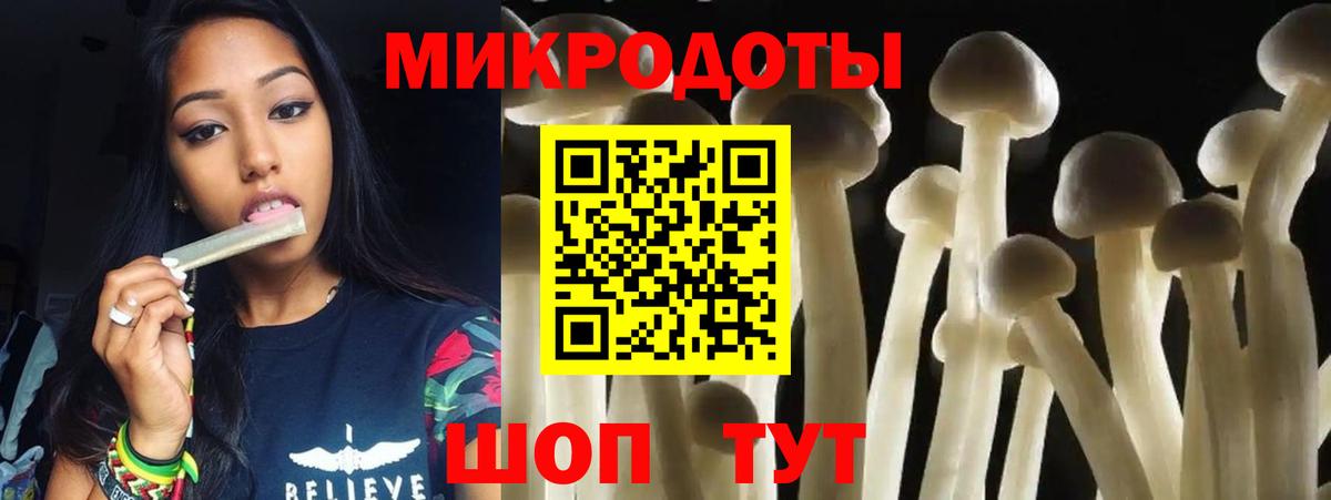 Псилоцибиновые грибы прущие грибы  Чернушка 